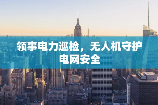 领事电力巡检，无人机守护电网安全