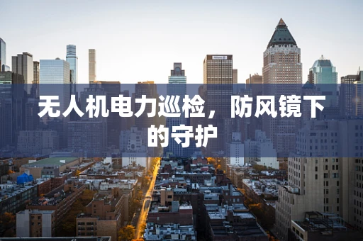 无人机电力巡检，防风镜下的守护