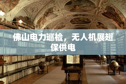 佛山电力巡检，无人机展翅保供电