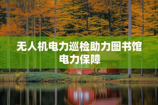 无人机电力巡检助力图书馆电力保障