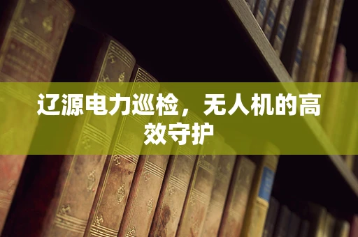 辽源电力巡检，无人机的高效守护
