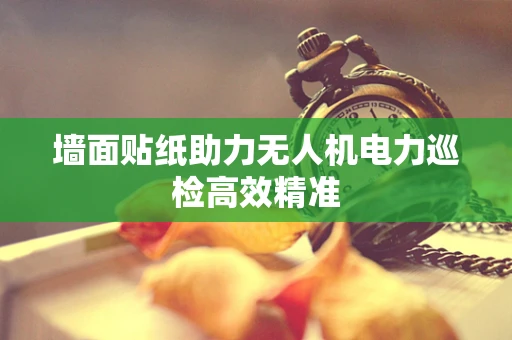 墙面贴纸助力无人机电力巡检高效精准