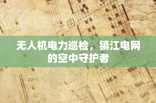 无人机电力巡检，镇江电网的空中守护者