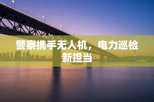 警察携手无人机，电力巡检新担当