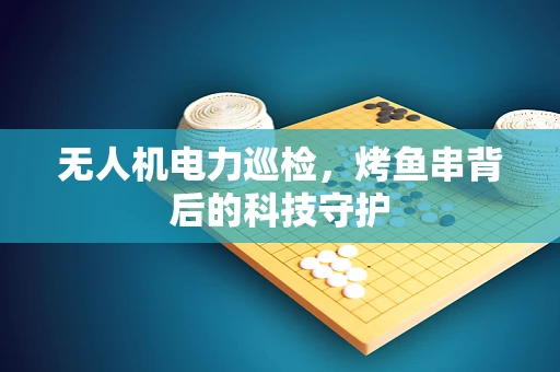 无人机电力巡检，烤鱼串背后的科技守护