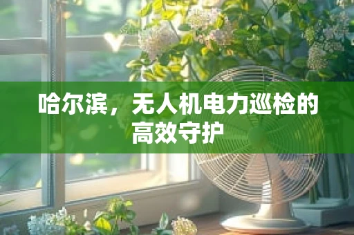 哈尔滨，无人机电力巡检的高效守护