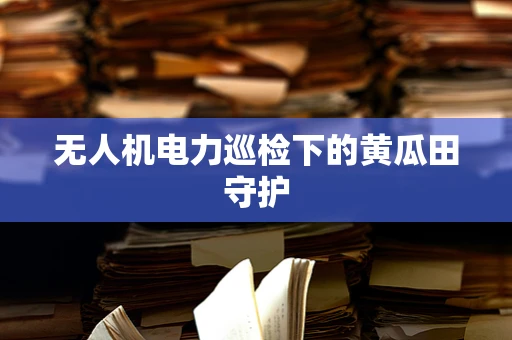 无人机电力巡检下的黄瓜田守护