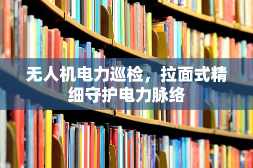 无人机电力巡检，拉面式精细守护电力脉络