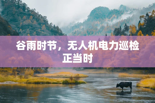 谷雨时节，无人机电力巡检正当时
