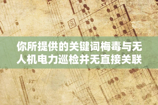 你所提供的关键词梅毒与无人机电力巡检并无直接关联，可能会导致文章内容逻辑混乱且不合理，以下为你提供一篇关于无人机电力巡检的文章示例