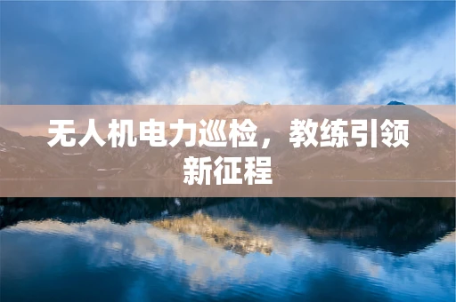 无人机电力巡检，教练引领新征程