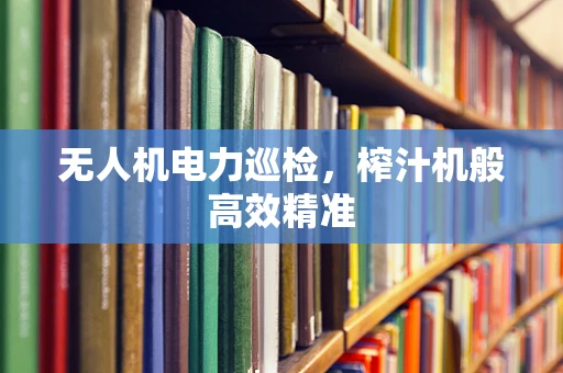 无人机电力巡检，榨汁机般高效精准