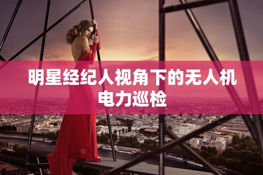 明星经纪人视角下的无人机电力巡检