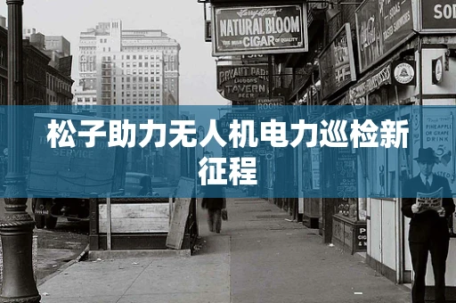 松子助力无人机电力巡检新征程