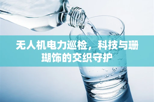 无人机电力巡检，科技与珊瑚饰的交织守护
