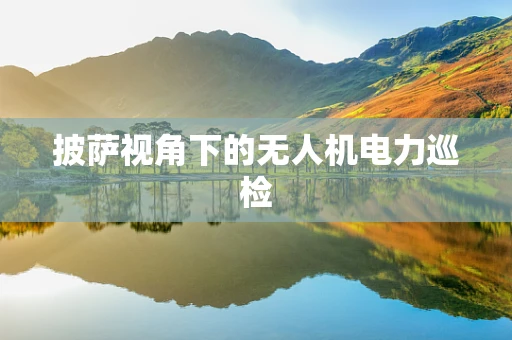 披萨视角下的无人机电力巡检
