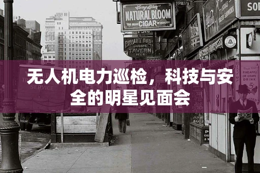 无人机电力巡检，科技与安全的明星见面会