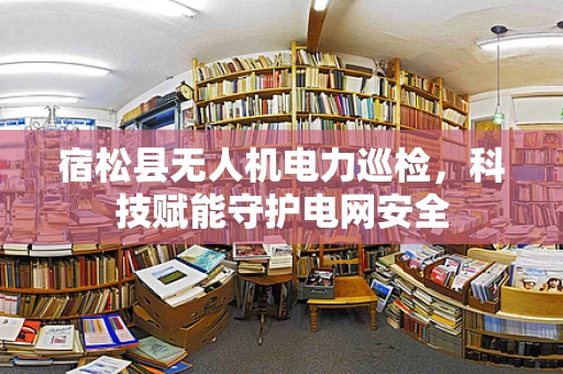 宿松县无人机电力巡检，科技赋能守护电网安全