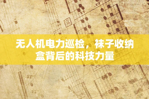 无人机电力巡检，袜子收纳盒背后的科技力量