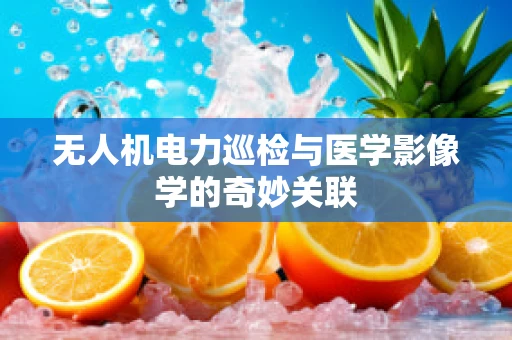 无人机电力巡检与医学影像学的奇妙关联