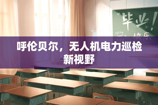 呼伦贝尔，无人机电力巡检新视野