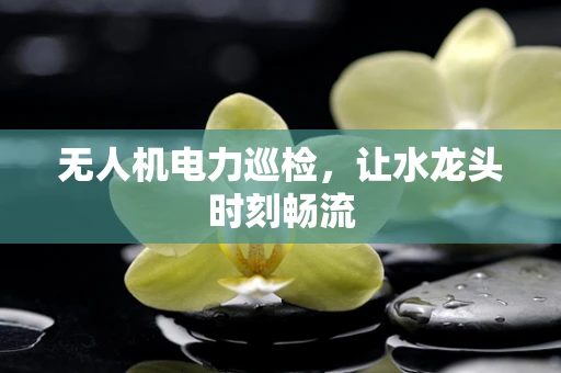 无人机电力巡检，让水龙头时刻畅流