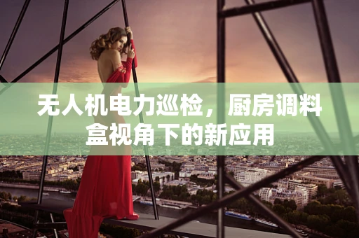 无人机电力巡检，厨房调料盒视角下的新应用