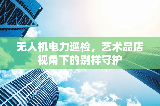 无人机电力巡检，艺术品店视角下的别样守护