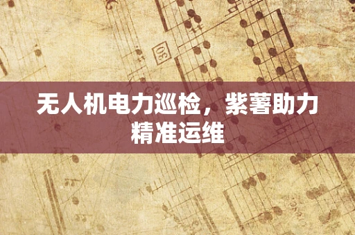 无人机电力巡检，紫薯助力精准运维