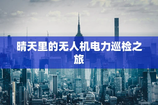 晴天里的无人机电力巡检之旅