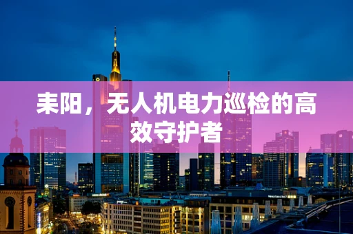 耒阳，无人机电力巡检的高效守护者