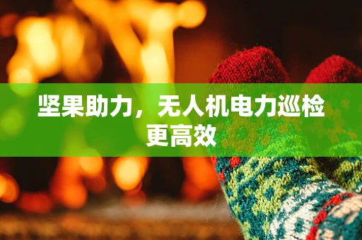 坚果助力，无人机电力巡检更高效