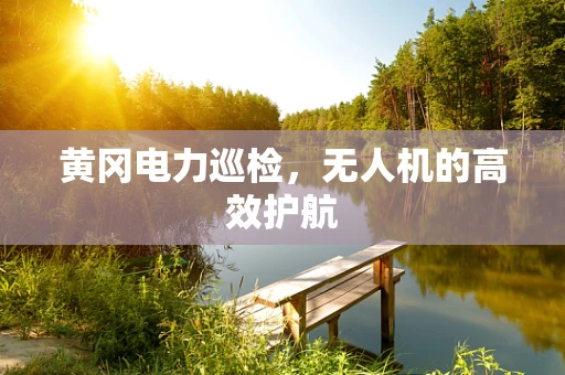 黄冈电力巡检，无人机的高效护航