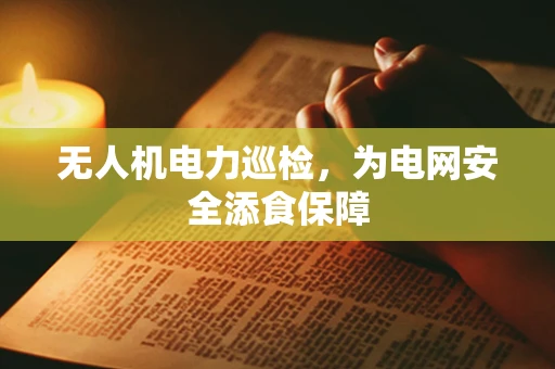 无人机电力巡检，为电网安全添食保障