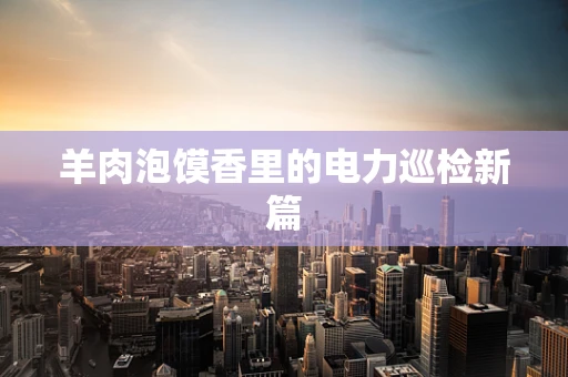羊肉泡馍香里的电力巡检新篇
