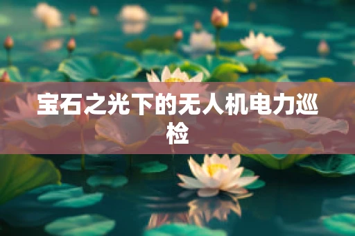 宝石之光下的无人机电力巡检