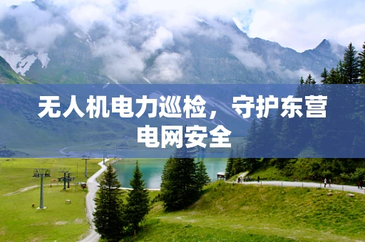 无人机电力巡检，守护东营电网安全