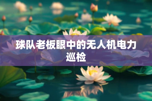 球队老板眼中的无人机电力巡检