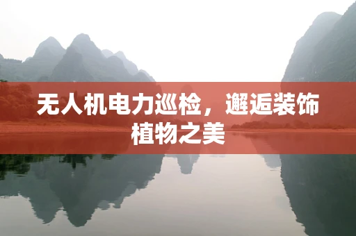 无人机电力巡检，邂逅装饰植物之美