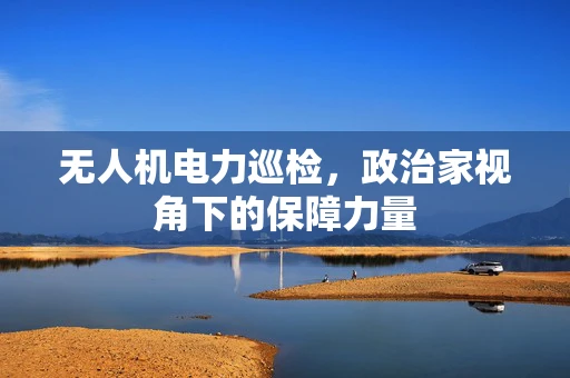 无人机电力巡检，政治家视角下的保障力量