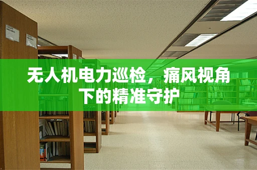 无人机电力巡检，痛风视角下的精准守护