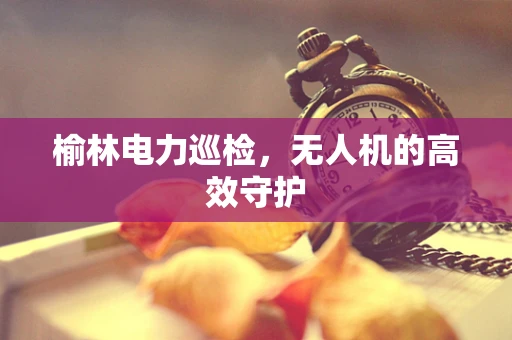 榆林电力巡检，无人机的高效守护