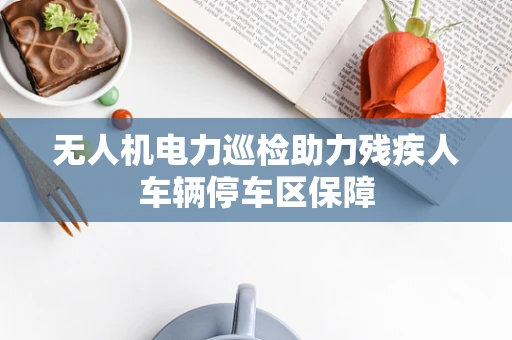 无人机电力巡检助力残疾人车辆停车区保障
