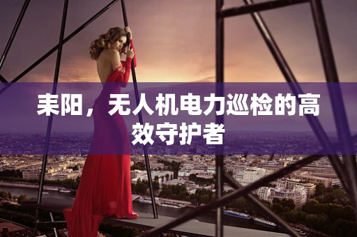 耒阳，无人机电力巡检的高效守护者