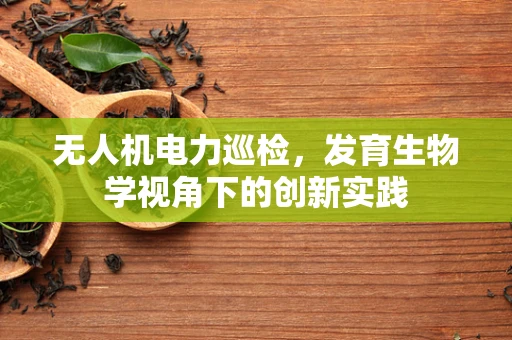 无人机电力巡检，发育生物学视角下的创新实践