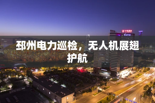 邳州电力巡检，无人机展翅护航