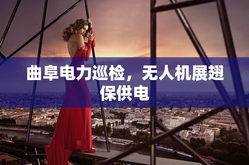 曲阜电力巡检，无人机展翅保供电