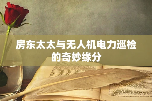 房东太太与无人机电力巡检的奇妙缘分