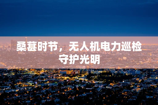 桑葚时节，无人机电力巡检守护光明