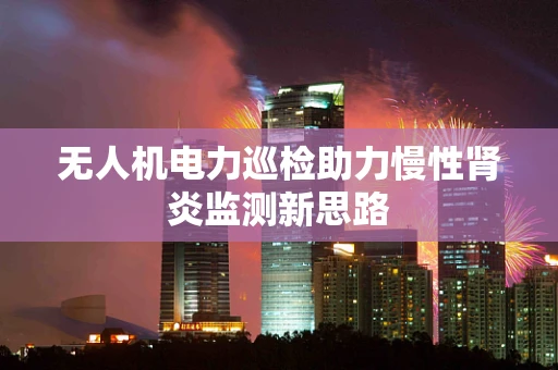 无人机电力巡检助力慢性肾炎监测新思路